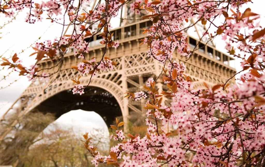 Spring season in Paris attracting international buyers searching for luxury property and apartments